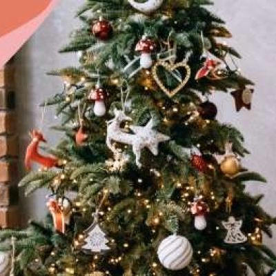 Коледните елхи на звездите